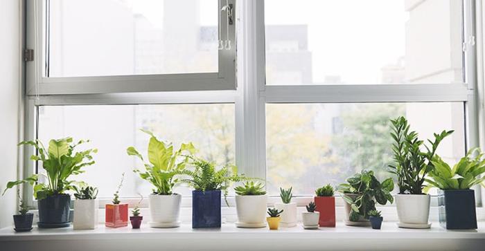 παράθυρο διακόσμηση φυτά δημιουργικές ιδέες διακόσμησης