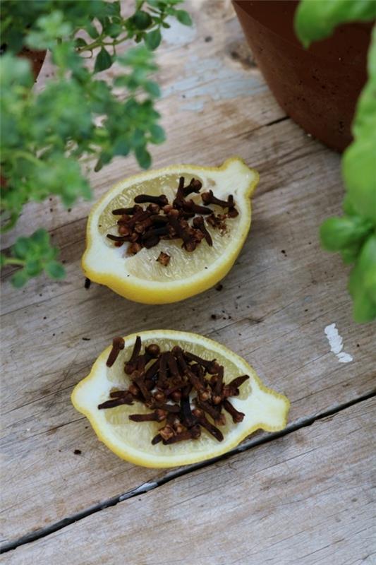Απομακρύνετε τις μύγες με λεμόνια και γαρίφαλο