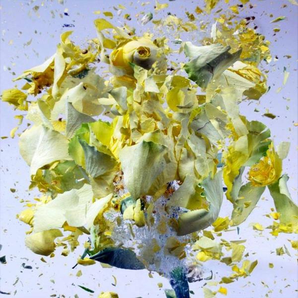 φωτογραφική τέχνη που εκρήγνυται κίτρινα τριαντάφυλλα