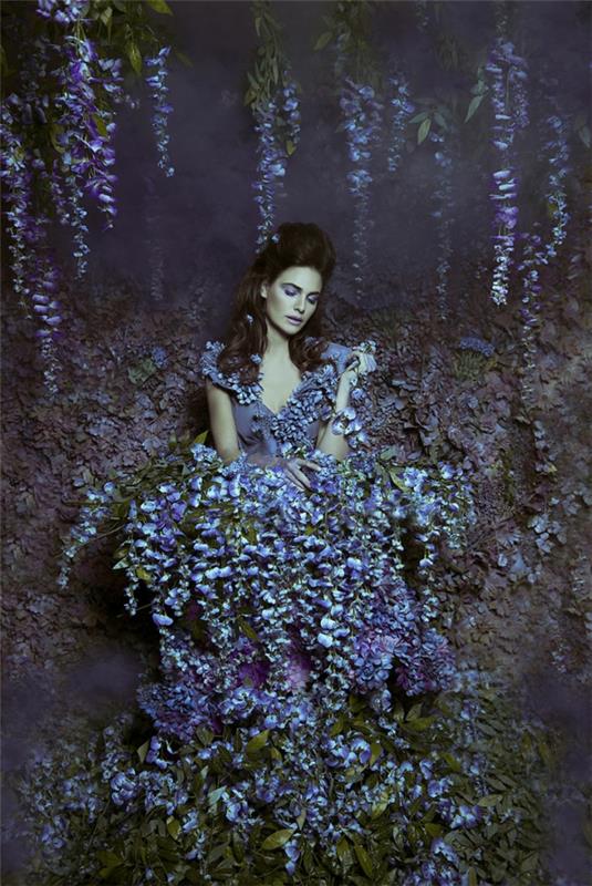 φωτογραφία τέχνης wisteria wisteria κήπο πριγκίπισσα