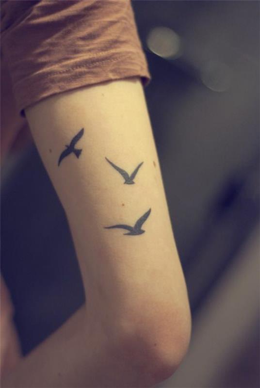 τατουάζ άνω βραχίονα τατουάζ 3 πουλιά