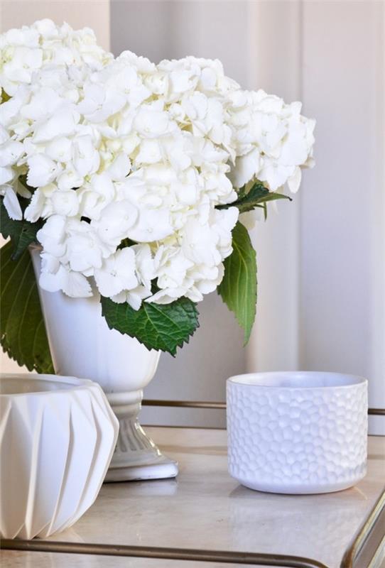 διακόσμηση ανοιξιάτικων λουλουδιών ιδέες φρέσκιας διακόσμησης σε λευκό