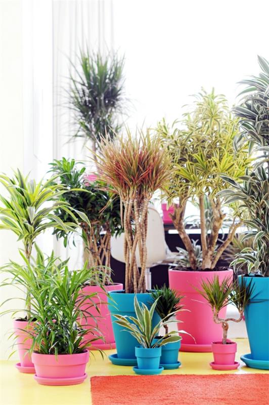 ιδέες διακόσμησης άνοιξη τραπεζαρία επίπλωση φυτό εσωτερικού χώρου πολύχρωμο