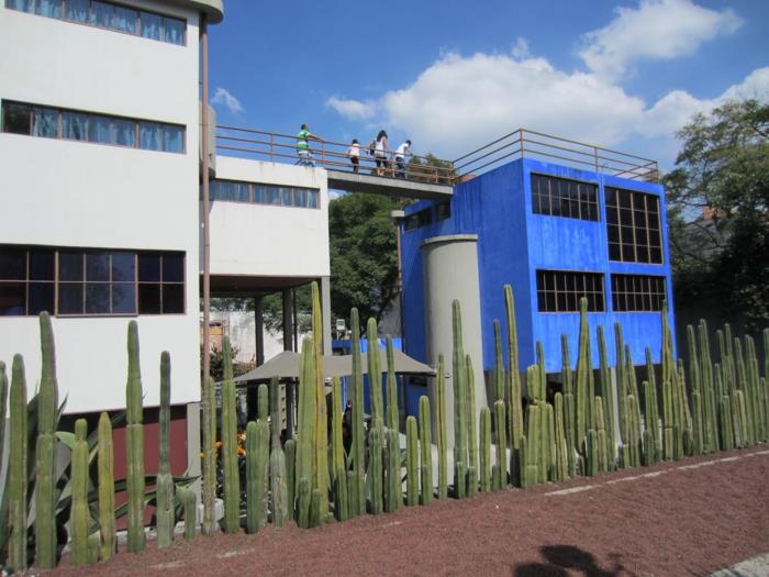 frida kahlo και diego rivera house bridge