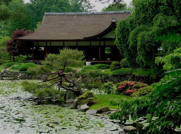 κήπο σπίτι ιδέα ασιατική λίμνη καλοκαίρι ιαπωνικό στυλ