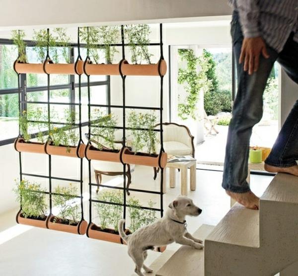 κουρτίνα κρεμαστά φυτά ιδέες διαχωριστικό πράσινου δωματίου