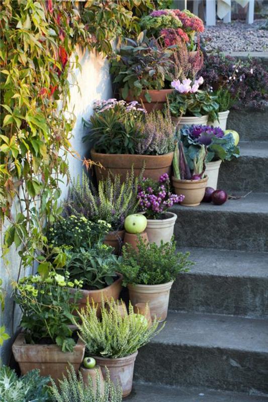 ιδέες διακόσμησης κήπου διακοσμούν σκάλες