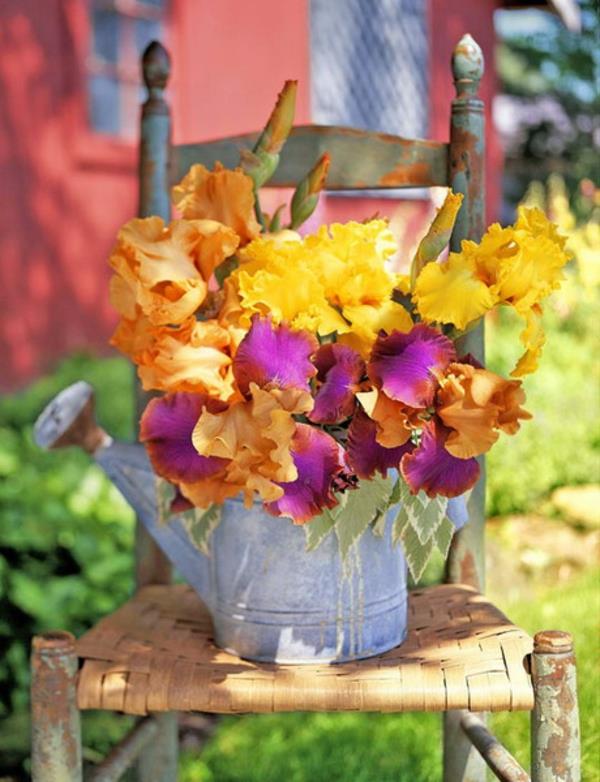 κήπος ξύλινο καλάθι ποτίσματος πολύχρωμα λουλούδια