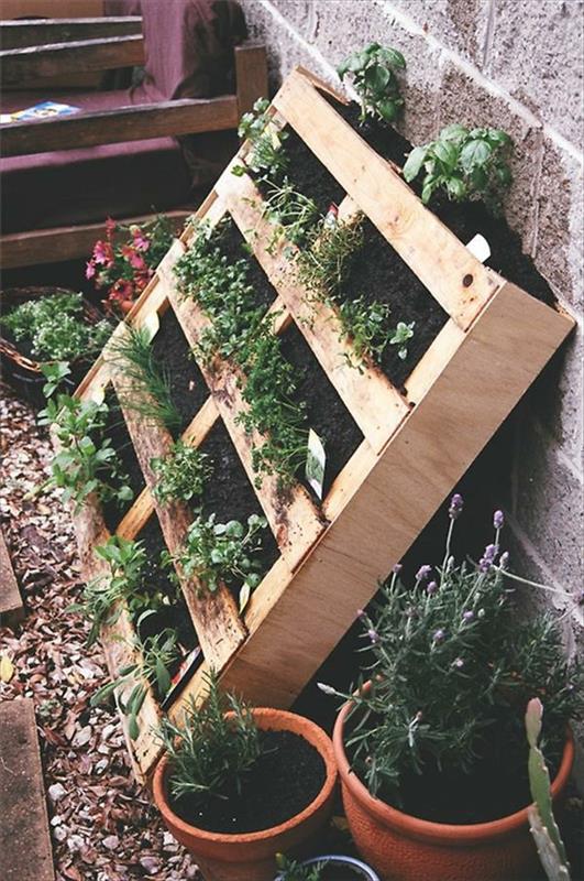 σχεδιασμός κήπου κάθετος κήπος diy από παλέτες ευρώ