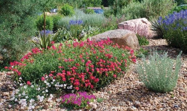 ιδέες κήπου σχεδιασμός κήπου πολυετή φυτά πέτρα χαλίκια καλοκαιρινά λουλούδια