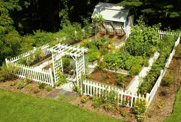 κήπος ιδέα κήπος φράχτη πέργκολα σχεδιασμός φυτικών κήπων