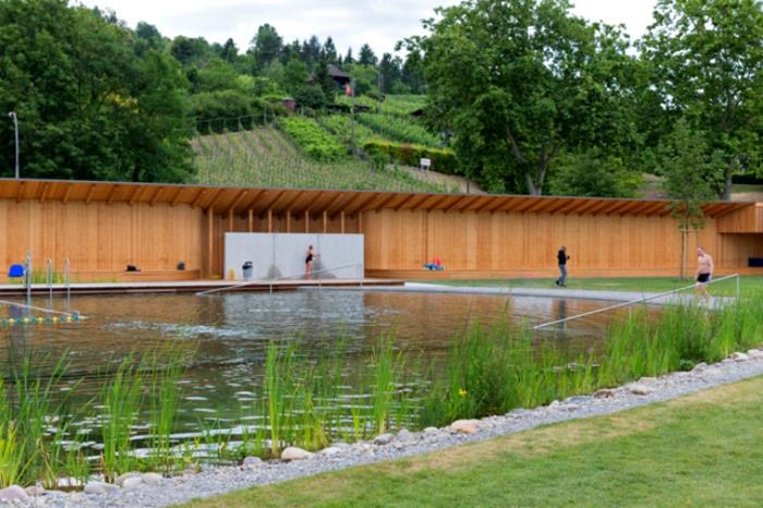 πισίνα κήπου χωρίς χλώριο φυσική πισίνα καλοκαιρινή διασκέδαση υγιεινή βιώσιμη