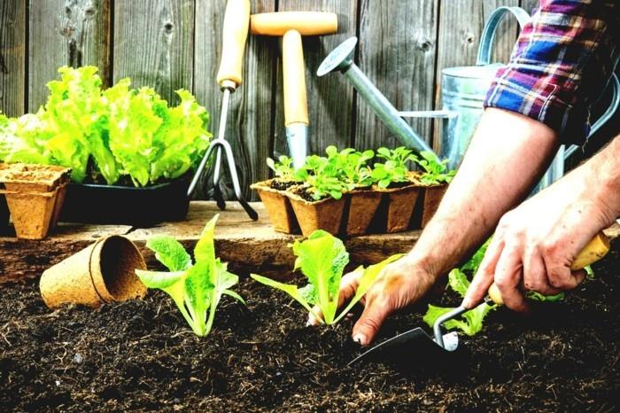 τάσεις κήπου καλοκαίρι 2018 συμβουλές κηπουρικής φτιάξτε το δικό σας υπερυψωμένο κρεβάτι