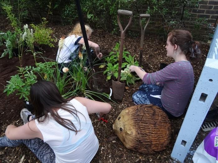 τάσεις κήπου καλοκαίρι 2018 συμβουλές κηπουρικής υποστήριξης σκαντζόχοιροι
