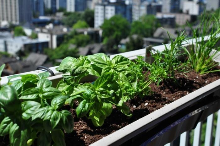 τάσεις κήπου καλοκαίρι 2018 συμβουλές κηπουρικής βότανα κουζίνας