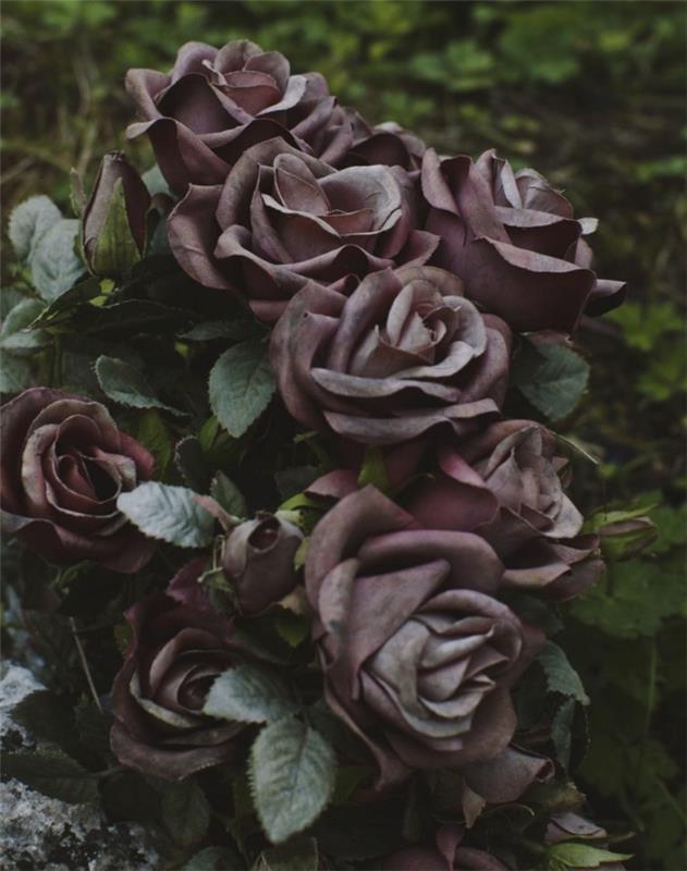 τάσεις κήπου καλοκαίρι 2018 συμβουλές κηπουρικής νοσηρά τριαντάφυλλα μαύρα