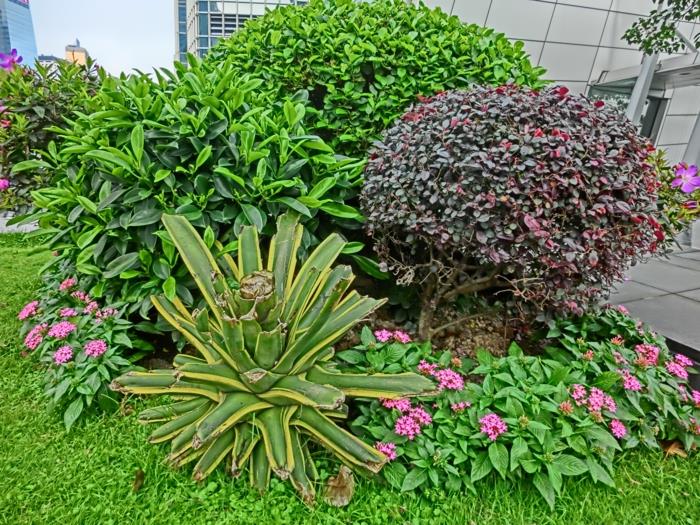 Αναδιαμορφώστε τον κήπο σας επιλέξτε κατάλληλα φυτά σε εξωτερικούς χώρους