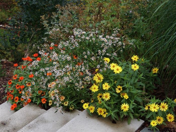 άρδευση κήπου λουλούδια σκάλες σε εξωτερικούς χώρους