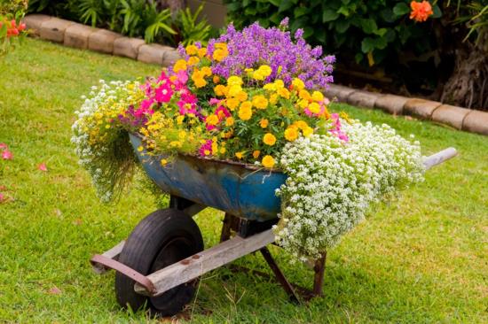 ιδέες διακόσμησης κήπου λουλουδάκι καρότσι