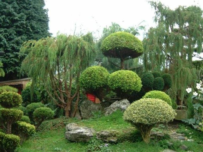 όμορφες ιδέες εξωραϊσμού κήπου μου πράσινο
