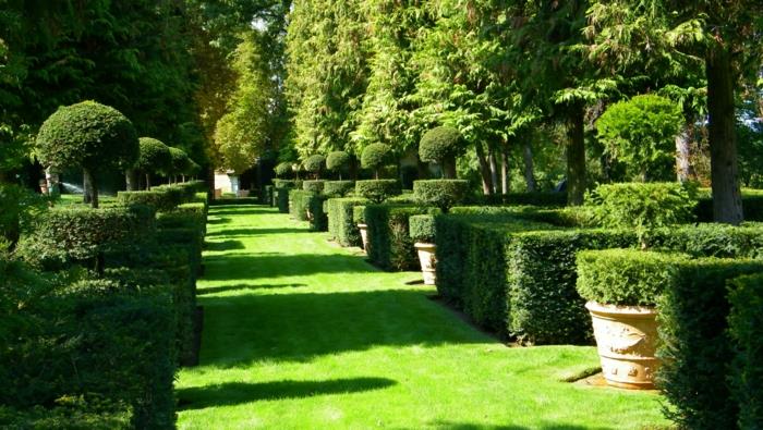 σχεδιασμός κήπου γαλλικές ιδέες πύλης πράσινο γρασίδι πυξάρι
