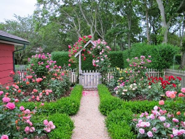 σχεδιασμός κήπου ιδέες κήπου φράχτης κήπος τριαντάφυλλο θάμνος πυξάρι