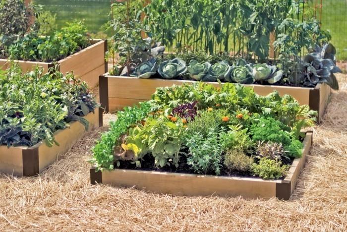 ο σχεδιασμός κήπου δημιουργεί φθηνές ιδέες κήπου με ξύλινες σανίδες και σκουπίδια λαχανόκηπο