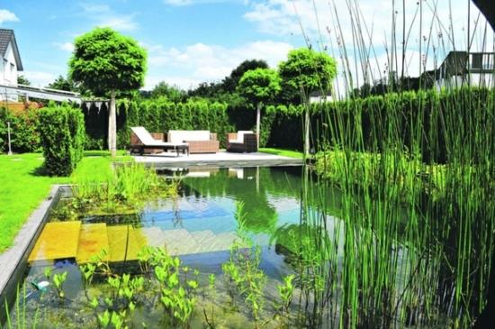 κήπος σχεδιασμός αυλής εξωραϊσμός ιδέες σχεδιασμού μπροστινής αυλής σχεδιασμός κήπων λίμνη κήπου υδρόβια φυτά