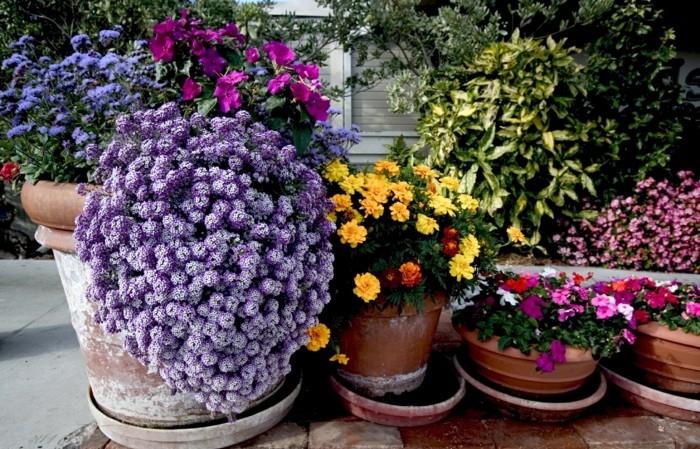 ιδέες σχεδιασμού κήπου χρωματιστές ιδέες διακόσμησης με λουλούδια