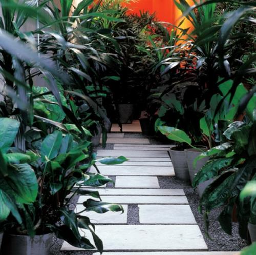 ιδέες σχεδιασμού κήπου σχεδιασμός διαδρομής κήπου γλάστρες φυτών τσιμεντένιο πεζοδρόμιο
