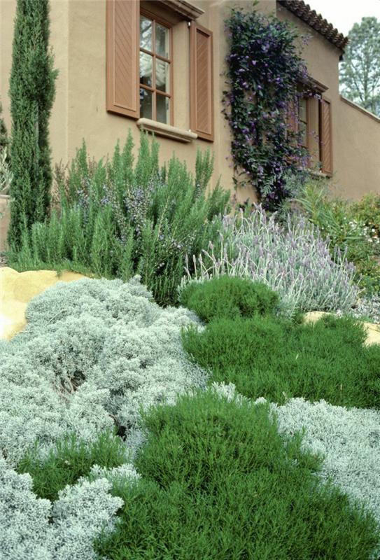 ιδέες σχεδιασμού κήπου ιερό βότανο ιταλικό στυλ