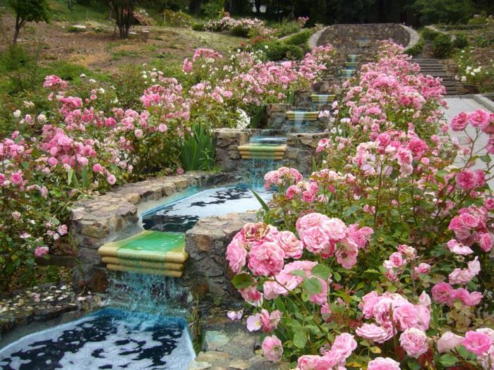 ιδέες σχεδιασμού κήπου ροζ ροζ ιδέες κήπου ιταλική εμφάνιση