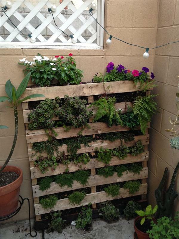 σχεδιασμός κήπου κάθετος κήπος diy από παλέτες ευρώ