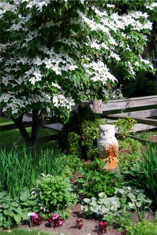 εξωραϊσμός χαλαρώστε φυτά κήπου gartendeko