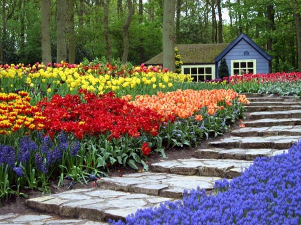συμβουλές σχεδιασμού κήπου αγαπημένα λουλούδια τουλίπες κήπου χρωματιστό πολύχρωμο