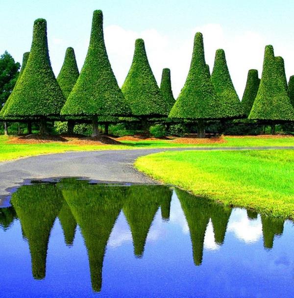 σχέδιο κήπου topiary λίμνη αειθαλής