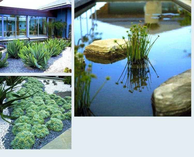 κηπουρική και εξωραϊσμός ιδέες κήπου Anthony Paul, χυμώδη υδρόβια φυτά
