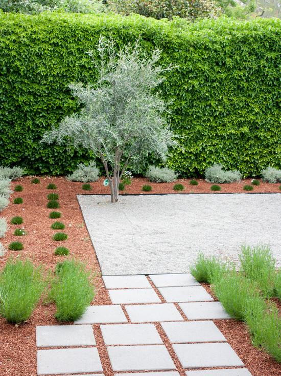 σχεδιασμός κήπου και παραδείγματα φυτών menlo park california yardyard