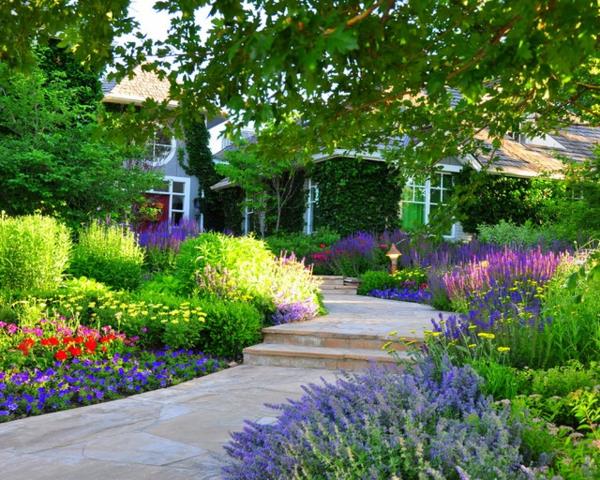 σχεδιασμός όμορφη αισθητικά κορεσμένη σχεδίαση κήπου διακοσμούν την μπροστινή αυλή