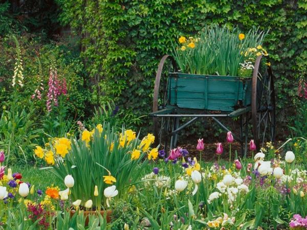 ιδέες κήπου ανοιξιάτικα λουλούδια νάρκισσους καροτσάκια ανακύκλωσης