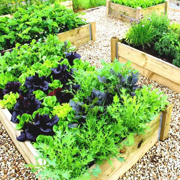 ιδέες κήπου σχεδιασμός κήπου φύτευση λαχανικών