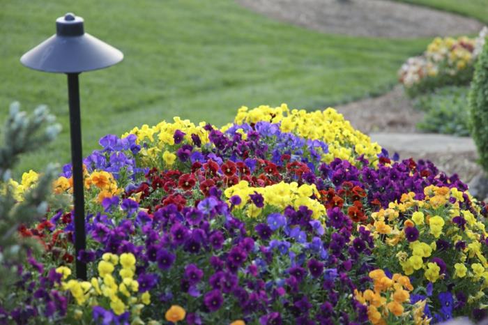 ιδέες κήπου ιδέες σχεδιασμού κήπου φώτα κήπου χρωματιστά λουλούδια