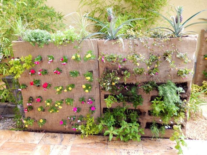 ιδέες κήπου διακόσμηση κήπου φυτά κήπου