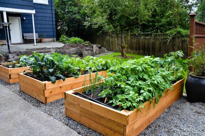 ιδέες κήπου ξύλινα υπερυψωμένα κρεβάτια φυτά κήπου λαχανικά