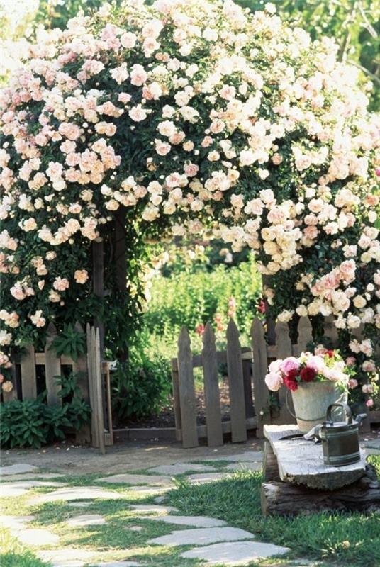 ιδέες κήπου με αναρριχώμενα τριαντάφυλλα και ρουστίκ ξύλινο φράχτη κήπου
