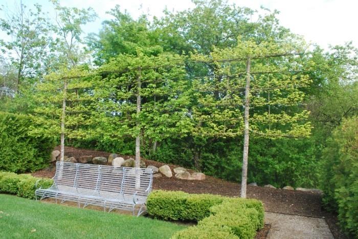 ιδέες κήπου με πέργκολα δημιουργούν μια ωραία γωνιά χαλάρωσης για το καλοκαίρι