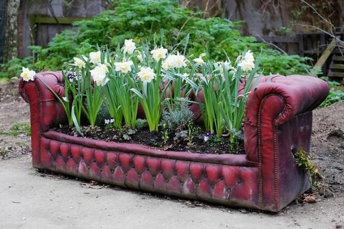 ιδέες κήπου για να φτιάξετε μόνοι σας παλιούς νάρκισσους καναπέδες