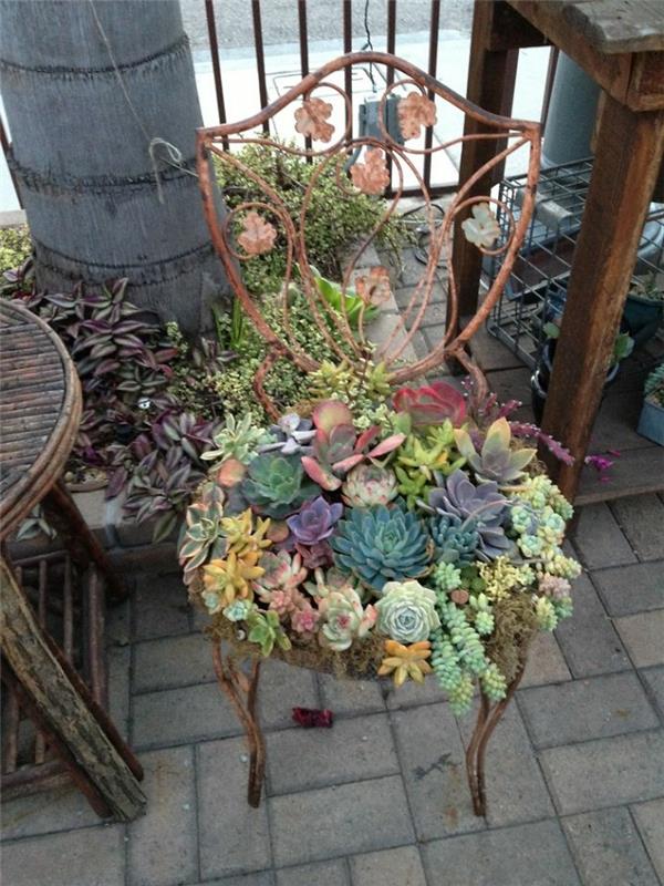 φτιάξτε μόνοι σας ιδέες κήπου παχύφυτα παλιά καρέκλα σφυρήλατο σίδερο