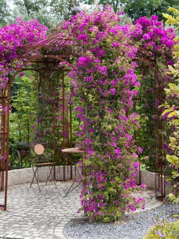 Φτιάξτε-τον-δικό σας-κήπο-κληματαριά-ροζ-λουλούδια