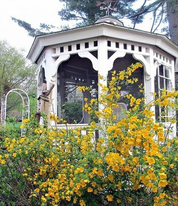 πέργκολες από ξύλο κληματαριάς πλούσια κίτρινα λουλούδια